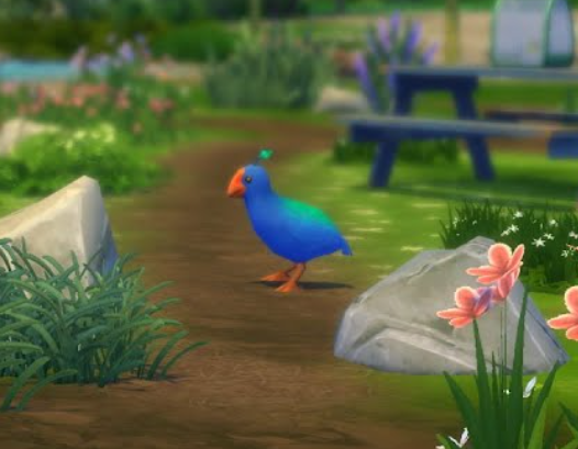 The Sims 4 Adventure Awaits Expansion Pack bird resembling New Zealand takahe on a garden path